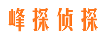 武陵市侦探调查公司